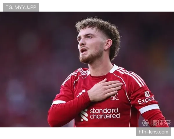 哈维·西蒙斯巴黎租借 哈维·西蒙斯巴黎租借